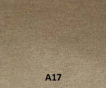 A17 1