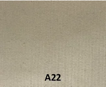 A22 1