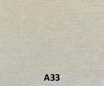 A33 1