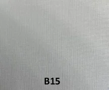 B15 1