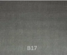 B17 1