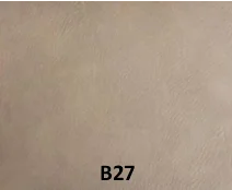 B27 1