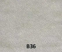 B36 1