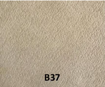 B37 1