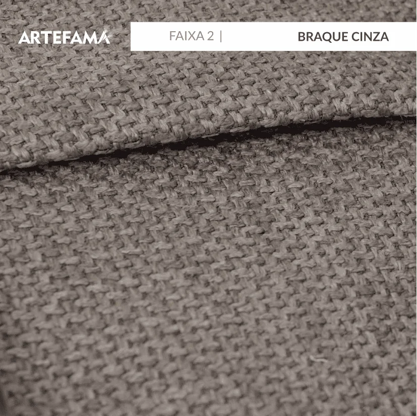 BRAQUE CINZA 1