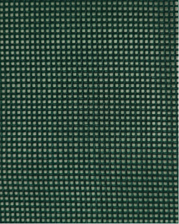 Bitmap408 Tela Verde 1